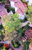 Туры в отель Sterling Munnar Туры в отель Sterling Munnar