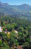 Туры в отель Sterling Munnar Туры в отель Sterling Munnar