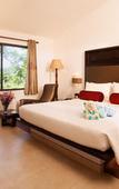 Туры в отель Sterling Munnar Туры в отель Sterling Munnar