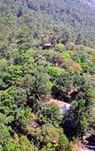 Туры в отель Sterling Munnar Туры в отель Sterling Munnar