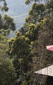Туры в отель Sterling Munnar Туры в отель Sterling Munnar