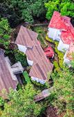 Туры в отель Sterling Munnar Туры в отель Sterling Munnar