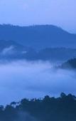 Туры в отель Green Trees Munnar Туры в отель Green Trees Munnar