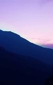 Туры в отель Green Trees Munnar Туры в отель Green Trees Munnar