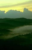 Туры в отель Green Trees Munnar Туры в отель Green Trees Munnar