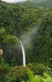 Туры в отель Green Trees Munnar Туры в отель Green Trees Munnar