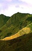 Туры в отель Green Trees Munnar Туры в отель Green Trees Munnar