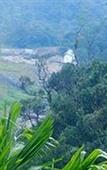 Туры в отель Green Trees Munnar Туры в отель Green Trees Munnar