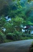 Туры в отель Bella Vista Resort Туры в отель Bella Vista Resort