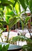 Туры в отель Maison Perumal - Cgh Earth Туры в отель Maison Perumal - Cgh Earth