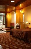 Туры в отель Shingar Regency Туры в отель Shingar Regency