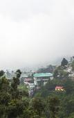 Туры в отель Sterling Mussoorie Туры в отель Sterling Mussoorie