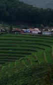 Туры в отель Highland Hotel Ooty Туры в отель Highland Hotel Ooty