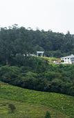 Туры в отель Highland Hotel Ooty Туры в отель Highland Hotel Ooty