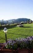 Туры в отель Delightz Inn Resorts Туры в отель Delightz Inn Resorts