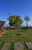 Туры в отель Chevron Eco Lodge Туры в отель Chevron Eco Lodge