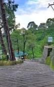 Туры в отель Kasauli Exotica Туры в отель Kasauli Exotica