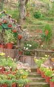 Туры в отель ASIA SPA RESORT MCLEODGANJ, DHARAMSHALA CENTRALLY AIR CONDITIONED WITH HEATED SWIMMING POOL Туры в отель ASIA SPA RESORT MCLEODGANJ, DHARAMSHALA CENTRALLY AIR CONDITIONED WITH HEATED SWIMMING POOL