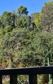 Туры в отель ASIA SPA RESORT MCLEODGANJ, DHARAMSHALA CENTRALLY AIR CONDITIONED WITH HEATED SWIMMING POOL Туры в отель ASIA SPA RESORT MCLEODGANJ, DHARAMSHALA CENTRALLY AIR CONDITIONED WITH HEATED SWIMMING POOL