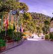 Туры в отель ASIA SPA RESORT MCLEODGANJ, DHARAMSHALA CENTRALLY AIR CONDITIONED WITH HEATED SWIMMING POOL Туры в отель ASIA SPA RESORT MCLEODGANJ, DHARAMSHALA CENTRALLY AIR CONDITIONED WITH HEATED SWIMMING POOL