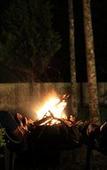 Туры в отель Beaumont Plantation Retreat Туры в отель Beaumont Plantation Retreat