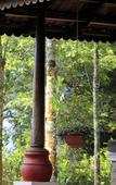 Туры в отель Beaumont Plantation Retreat Туры в отель Beaumont Plantation Retreat