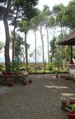 Туры в отель Beaumont Plantation Retreat Туры в отель Beaumont Plantation Retreat