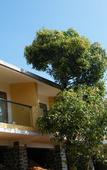 Туры в отель Poetree Thekkady Туры в отель Poetree Thekkady