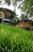 Туры в отель Poetree Thekkady Туры в отель Poetree Thekkady