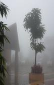 Туры в отель Poetree Thekkady Туры в отель Poetree Thekkady