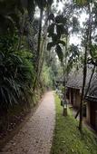 Туры в отель Poetree Thekkady Туры в отель Poetree Thekkady