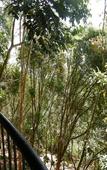 Туры в отель Poetree Thekkady Туры в отель Poetree Thekkady