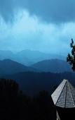 Туры в отель Poetree Thekkady Туры в отель Poetree Thekkady
