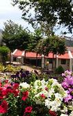 Туры в отель Country Inn, Bhimtal Туры в отель Country Inn, Bhimtal
