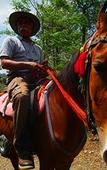Туры в отель Country Inn, Bhimtal Туры в отель Country Inn, Bhimtal
