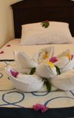 Туры в отель Mexicana Sharm Resort Туры в отель Mexicana Sharm Resort