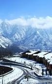 Туры в отель Taj Dal View Srinagar Туры в отель Taj Dal View Srinagar