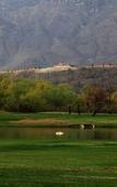 Туры в отель Taj Dal View Srinagar Туры в отель Taj Dal View Srinagar
