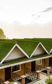Туры в отель Sterling Darjeeling Туры в отель Sterling Darjeeling