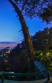 Туры в отель Honeymoon Inn Туры в отель Honeymoon Inn