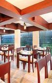 Туры в отель Grand Plaza Munnar Туры в отель Grand Plaza Munnar