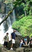 Туры в отель Banasura Hill Resort Туры в отель Banasura Hill Resort