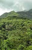 Туры в отель Banasura Hill Resort Туры в отель Banasura Hill Resort