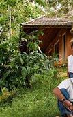 Туры в отель Banasura Hill Resort Туры в отель Banasura Hill Resort
