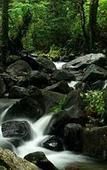 Туры в отель Banasura Hill Resort Туры в отель Banasura Hill Resort