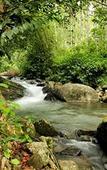 Туры в отель Banasura Hill Resort Туры в отель Banasura Hill Resort