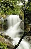 Туры в отель Banasura Hill Resort Туры в отель Banasura Hill Resort