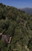 Туры в отель The Tamara Coorg Туры в отель The Tamara Coorg