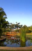 Туры в отель Taj Alibaug Resort & Spa Туры в отель Taj Alibaug Resort & Spa