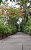 Туры в отель Hotel Kala Sagar Туры в отель Hotel Kala Sagar